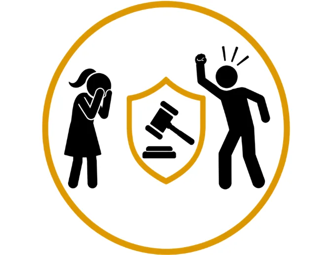 Domestic Violence Proceedings